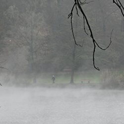 Nebel auf dem Rotsee