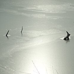 Äste sind im Wasser festgefroren