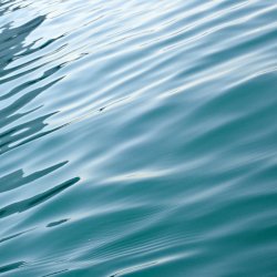 Schatten, Licht, Sonne im Wasser