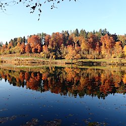Herbstliche Spiegelungen im Rotsee