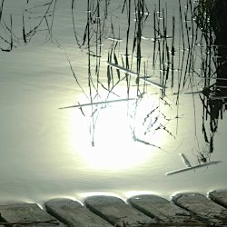 Sonne spiegelt sich im Wasser