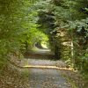 Waldweg