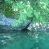 Auf dem See unter Bäumen