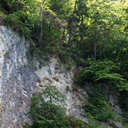 grün bewachsene Felswand