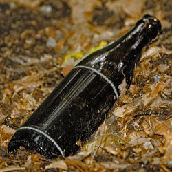 Bierflasche auf dem Waldboden
