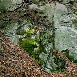 Felsen in der Wolfsschlucht