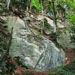 Felsen in der Wolfsschlucht
