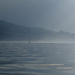 Nebliger See