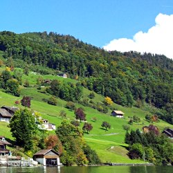 Bauernhöfe und Wald unter blauem Himmel