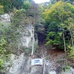 Zielscheibe auf dem Waldboden