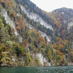 Grauer Himmel, farbiger Wald