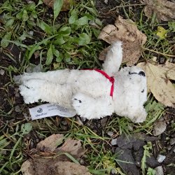 Weisser Plüschbär auf dem Waldboden