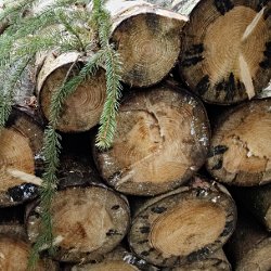 Holzbeige