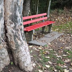 Sitzbank am Waldrand