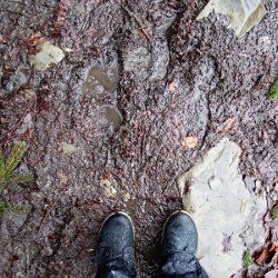 Auf einem matschigen Waldweg