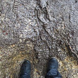 Auf einem matschigen Waldweg