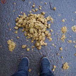 Auf dem Asphalt vor Pferdemist