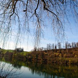 Sonnige Winterlandschaft mit Weide und See