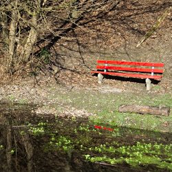 Rote Sitzbank am Weiher