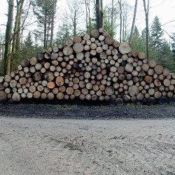 Holzbeige regelmässig aufgeschichtet