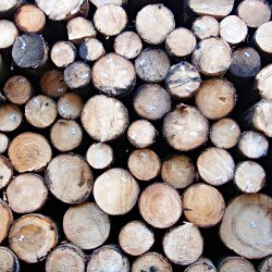 Holzbeige Detailansicht
