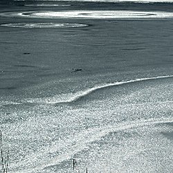 Eiskreise