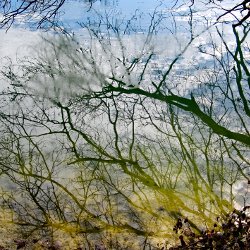 Seeufer mit letzten Eisresten