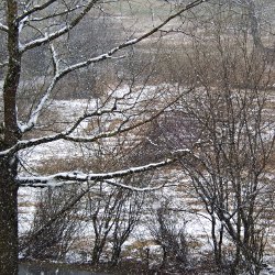 kahle Winterlandschaft