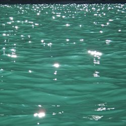 Sonnenstrahlen auf dem See