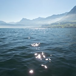Sonne und leichte Nebelschwaden auf dem See