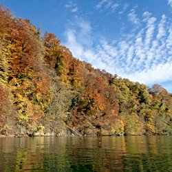 Herbstwald am See