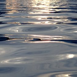 Abendliche Sonnenstrahlen im See