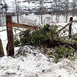 herabgefallene Äste haben Zaun durchbrochen