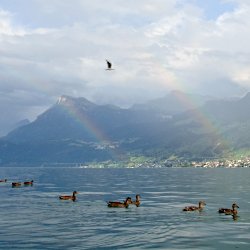doppelter Regenbogen über dem See