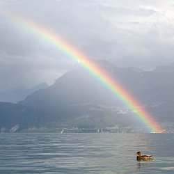 Regenobgen über dem See