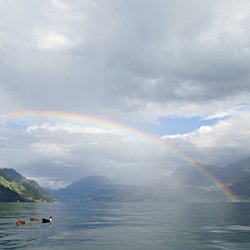 Regenbogen über dem See