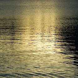 Sonnenaufgang im See