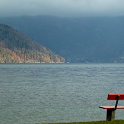 Herbstwald und leerer See