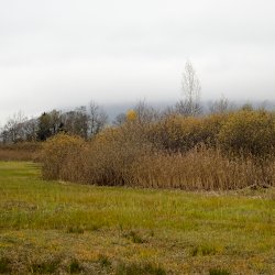 Moorlandschaft